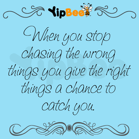 chasing quote