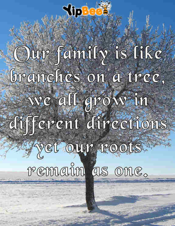 family quote